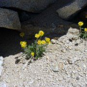 SouthernSierra 421 : SouthernSierra